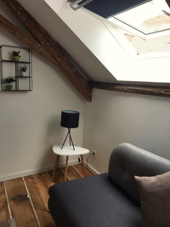 Ferienwohnung L'Ours Colmar Exterior foto